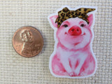 Second view of a bandana wearing pig minder.