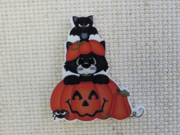 First view of Black cat popping out of a carved pumpkin with a bat on top and a friend spider minder.