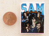 Second view of It's Sam Needle Minder.