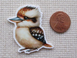 Second view of Kookaburra Needle Minder.