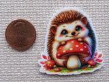 Minder of a hedgehog with a mushroom next to a penny for scale.