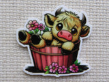 First view of a baby cow laying in a red barrel with pink flowers minder.