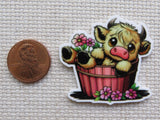 Second view of a baby cow laying in a red barrel with pink flowers minder.