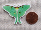Second view of Luna Moth Needle Minder.