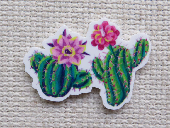 Minder of a cactus with pink flowers on a textured beige background