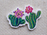 Minder of a cactus with pink flowers on a textured beige background