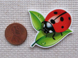 Minder of a ladybug on a leaf next to a penny for scale on a textured surface.