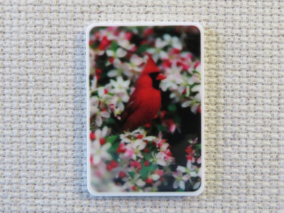 First view of Red Cardinal Bird Needle Minder.