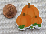 Second view of a trio of orange pumpkins minder.