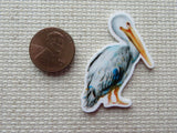 Second view of pelican minder.