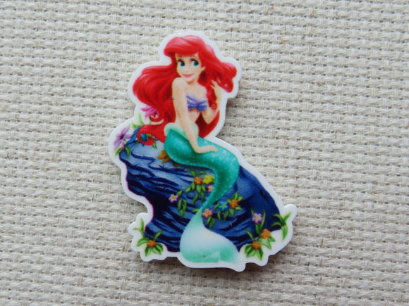 First view of Ariel on a Rock Needle Minder.