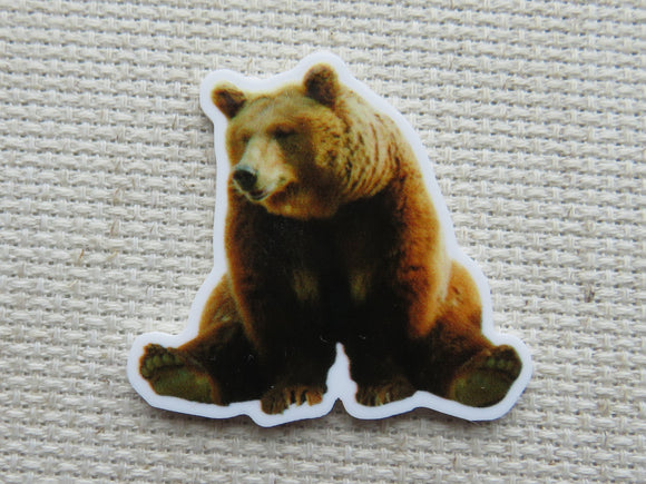 First view of Bear! Needle Minder.