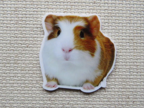 First view of Hamster Needle Minder.