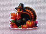 Minder of a turkey with a pilgrim hat, pumpkins, and fall leaves.