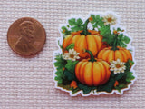 Minder of pumpkins and flowers next to a penny.