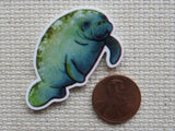 Minder of a manatee next to a penny on a textured surface
