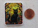 Second view of Stunning black cat with an Autumn background minder.