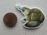 Second view of Platypus Needle Minder.