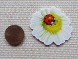 Second view of Lady Bug on a White Daisy Needle Minder.