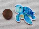 Second view of playful turtle minder