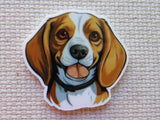 Minder of a beagle dog face on a textured surface
