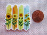 Four colorful sunflower minder next to a penny on a textured surface