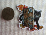 Second view of Binx and Book Needle Minder.