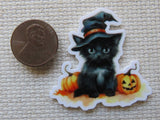 Second view of Cute Black Cat Sitting with Pumpkins Needle Minder.