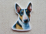 First view of a Tri-Colored Bull Terrier Minder.