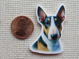 Second view of a Tri-Colored Bull Terrier Minder.