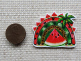 Second view of Watermelon Rainbow Needle Minder.