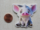 Second view of XL Pua Needle Minder.