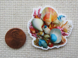 Colorful seashell minder next to a penny on a textured surface
