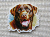 Minder of a chocolate Labrador Retriever on a textured surface