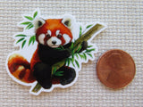 Minder of a red panda holding bamboo with a penny for scale on a textured surface