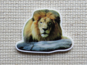 First view of Galloway's Exclusive African Lion Needle Minder.