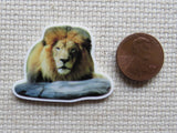 Second view of Galloway's Exclusive African Lion Needle Minder.