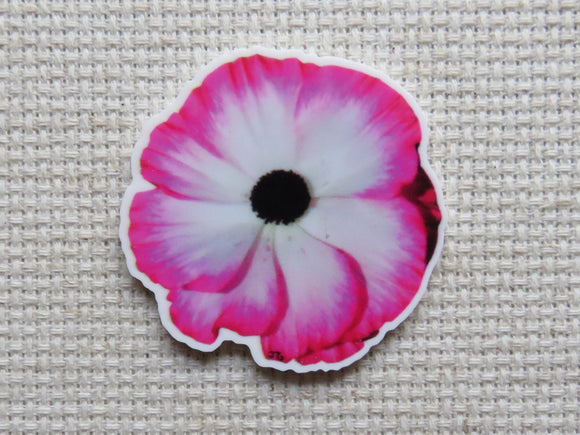 First view of Galloway's Exclusive Pink Ranunculus Needle Minder.