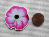 Second view of Galloway's Exclusive Pink Ranunculus Needle Minder.