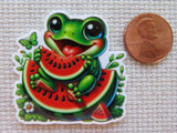 Minder of a frog eating watermelon with a penny for scale on a textured surface