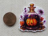 Second view of Pumpkin in a Bottle Needle Minder.