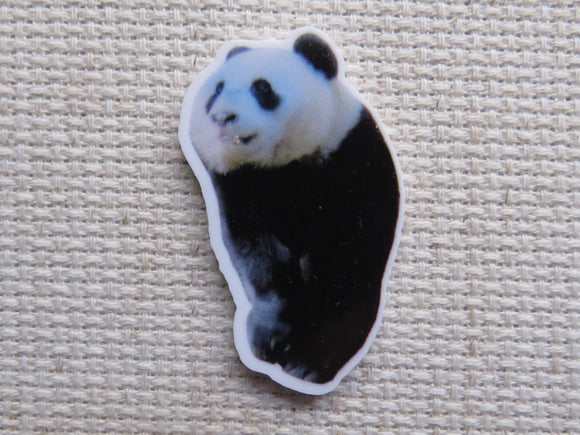 First view of Galloway Exclusive Panda Needle Minder.