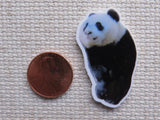 Second view of Galloway Exclusive Panda Needle Minder.