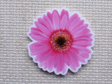 First view of Pink Gerbera Daisy Needle Minder.