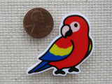 Second view of Scarlet Macaw Needle Minder.