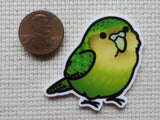 Second view of Cute Green Parakeet Needle Minder.