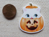 Second view of White Kitty Peeking Out of a Jack-O-Lantern Needle Minder.