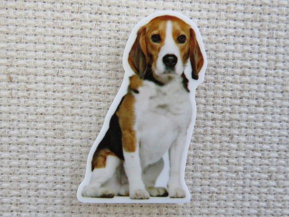 First view of Beagle Dog Needle Minder.