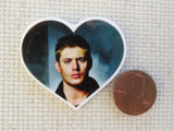 Second view of Dean in a Heart Needle Minder.