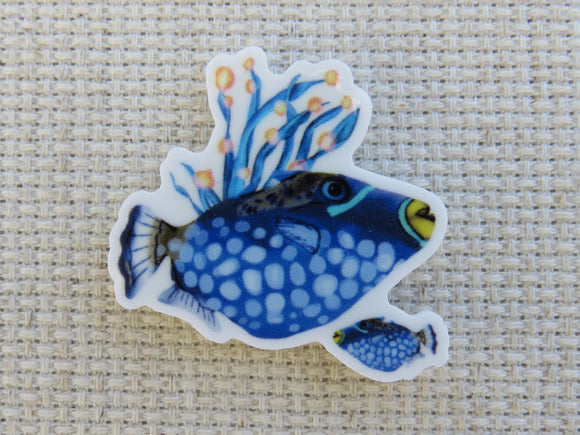 First view of Blue Trigger Fish Needle Minder.